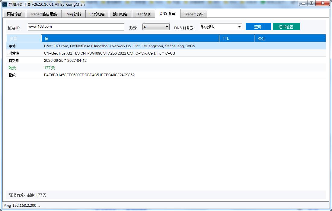 DNS 查询